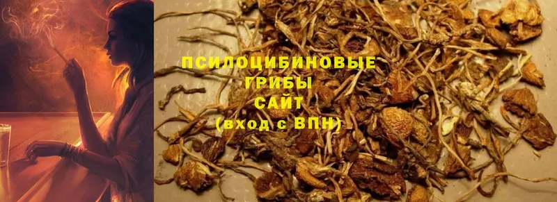 купить  сайты  Нижнеудинск  Псилоцибиновые грибы ЛСД 